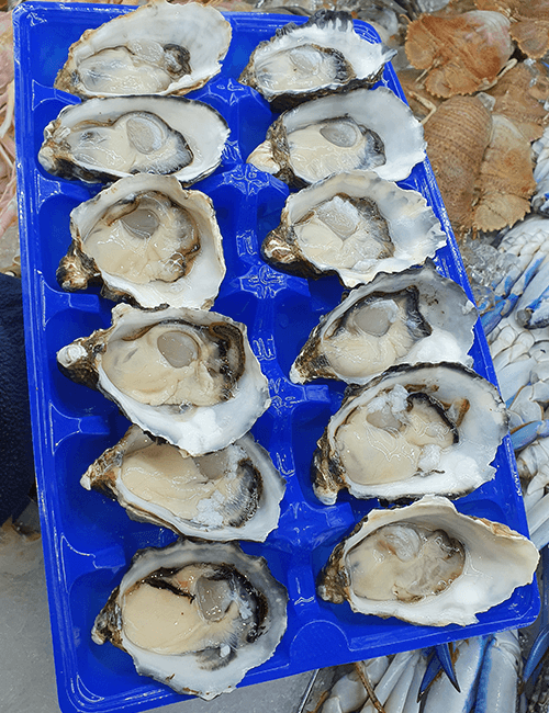 Coffin Bay Oyster